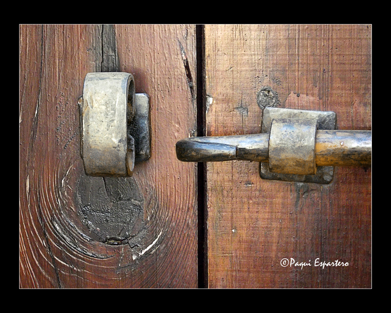 La_libertad_-_Francisca_Espartero_©_800x600_alta10