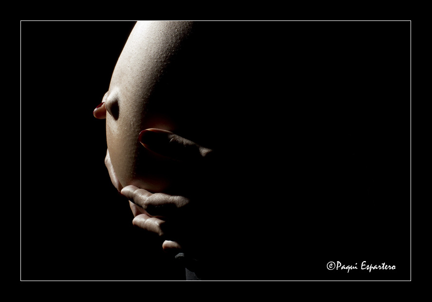 _MG_7072_800x600_copyright_max10_bn